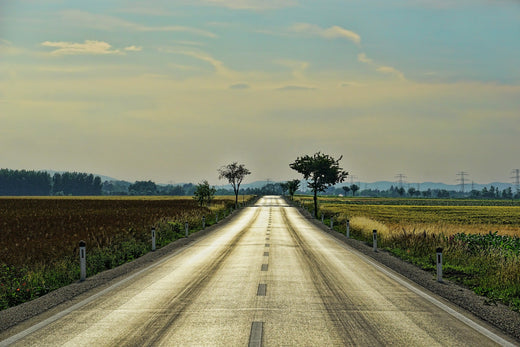 Explore Florida's Top Sights with This Florida road trip itinerary