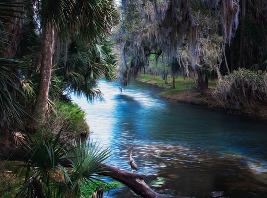 Florida Hidden Gems