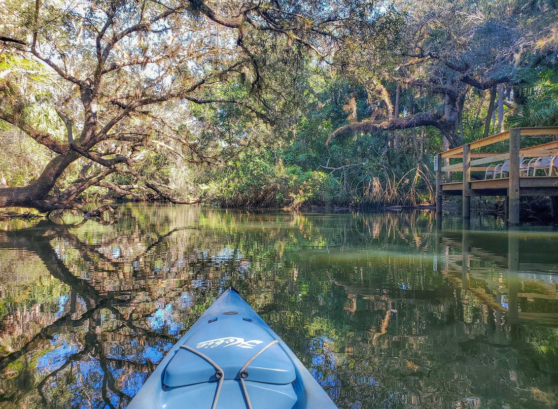 Ultimate Guide To Florida Adventure Activities From Coast To Coast